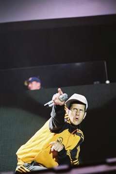 beastieBoys 8-317 (1)